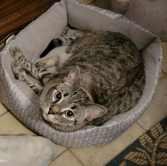 Sold - Picture 1 of 16